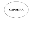 Capoeira