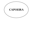 Capoeira