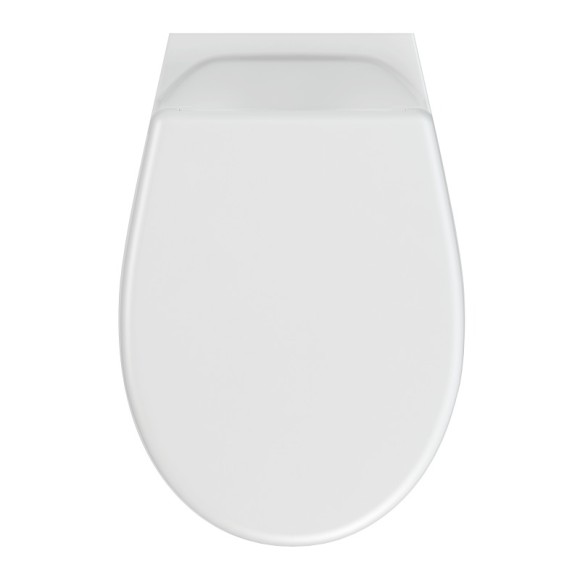 Подвесной унитаз DELFI TPL