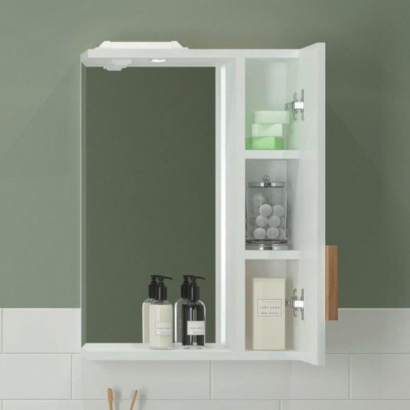 50 Зеркало-шкаф "Fortuna 50"