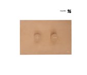 Панель пневматическая двойная OLI Trumpet, нержавеющая сталь, бронза