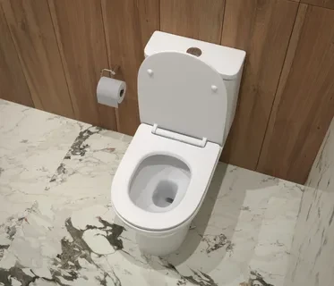 Унитаз-моноблок SM9618 безободковый, сиденье тонкое ДП, арматура (с гофрой и подводкой) Унитаз-моноблок SM9618 безободковый, сиденье тонкое ДП, арматура (с гофрой и подводкой)