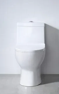 Унитаз-моноблок SM9601, сиденье тонкое ДП, арматура (с гофрой и подводкой) Унитаз-моноблок SM9601, сиденье тонкое ДП, арматура (с гофрой и подводкой)