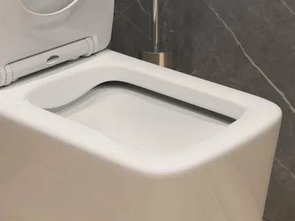 Унитаз-моноблок SM9616 безободковый, сиденье тонкое ДП, арматура (с гофрой и подводкой) Унитаз-моноблок SM9616 безободковый, сиденье тонкое ДП, арматура (с гофрой и подводкой)